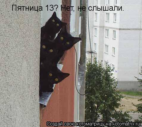 Пятница 13? Нет, не слышали.... Котоматрица: Пятница 13? Нет, не слышали.