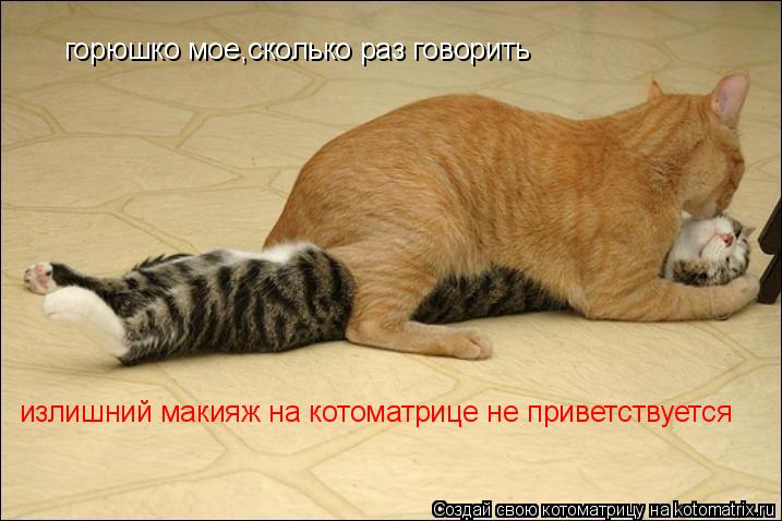 горюшко мое,сколько раз говорить излишний макияж на котоматрице не приветствуется... Котоматрица: горюшко мое,сколько раз говорить излишний макияж на котоматрице не приветствуется
