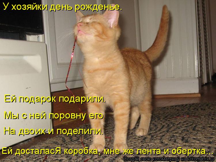 У хозяйки день рожденье. Ей подарок подарили. Мы с ней поровну его На двоих и поделили. Ей досталасЯ ... Котоматрица: У хозяйки день рожденье. Ей подарок подарили. Мы с ней поровну его На двоих и поделили. Ей досталасЯ коробка, мне же лента и обертка...