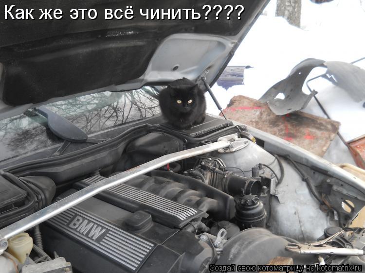 Как же это всё чинить????... Котоматрица: Как же это всё чинить????