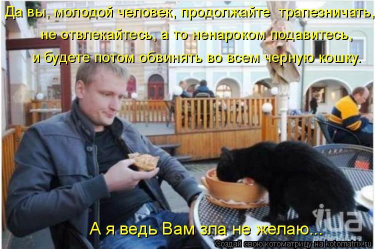 Да вы, молодой человек, продолжайте трапезничать, не отвлекайтесь, а то ненароком подавитесь, и бу... Котоматрица: Да вы, молодой человек, продолжайте трапезничать, не отвлекайтесь, а то ненароком подавитесь, и будете потом обвинять во всем черную кошку