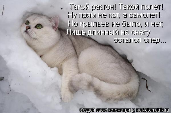 Такой разгон! Такой полет! Ну прям не кот, а самолет! Но крыльев не было, и нет, Лишь длинный на снег... Котоматрица: Такой разгон! Такой полет! Ну прям не кот, а самолет! Но крыльев не было, и нет, Лишь длинный на снегу остался след...