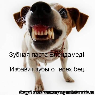 Новая зубная паста Блендамед! Зубная паста Блендамед! Избавит зубы от всех бед!... Котоматрица: Новая зубная паста Блендамед! Зубная паста Блендамед! Избавит зубы от всех бед!