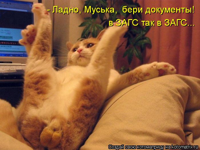 - Ладно, Муська, бери документы! в ЗАГС так в ЗАГС...... Котоматрица: - Ладно, Муська, бери документы! в ЗАГС так в ЗАГС...