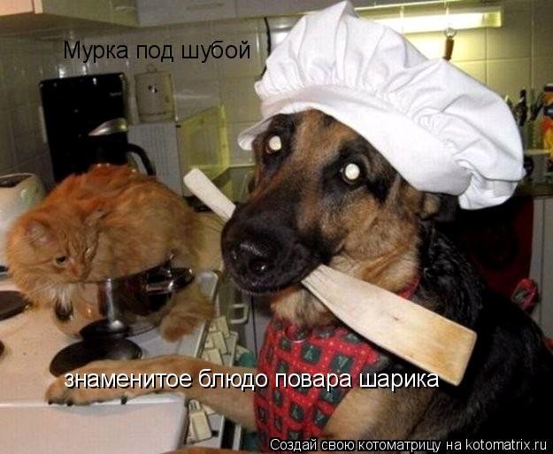Мурка под шубой знаменитое блюдо повара шарика... Котоматрица: Мурка под шубой знаменитое блюдо повара шарика