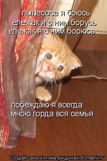 пылесоса я боюсь еле как я с ним борусь еле как я с ним борюсь побеждаю я всегда мною горда вся семь... Котоматрица: пылесоса я боюсь еле как я с ним борусь еле как я с ним борюсь побеждаю я всегда мною горда вся семья