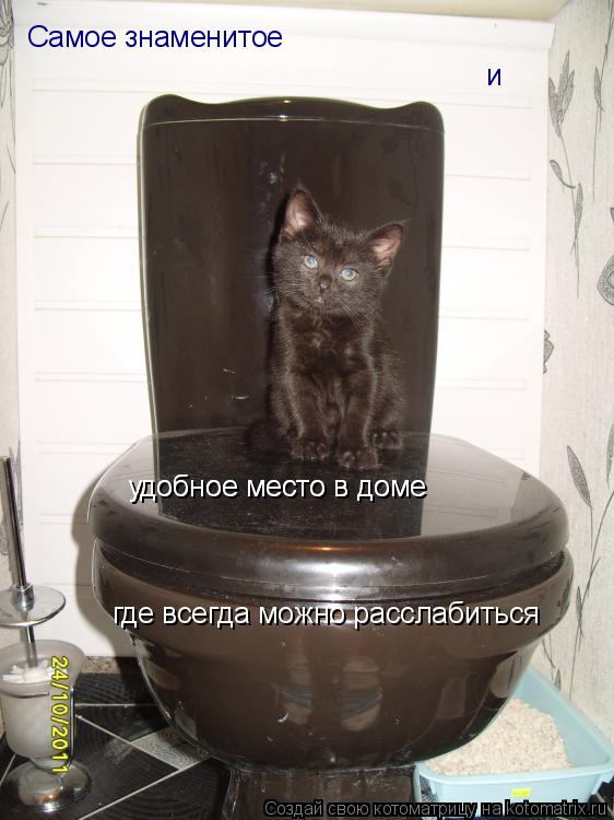 Самое знаменитое и удобное место в доме удобное место в доме где всегда можно расслабиться... Котоматрица: Самое знаменитое и удобное место в доме удобное место в доме где всегда можно расслабиться