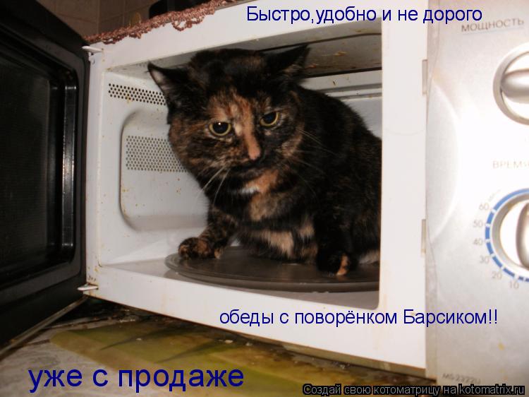 Быстро,удобно и не дорого Быстро,удобно и не дорого обеды с поворёнком Барсиком!! уже с продаже... Котоматрица: Быстро,удобно и не дорого Быстро,удобно и не дорого обеды с поворёнком Барсиком!! уже с продаже