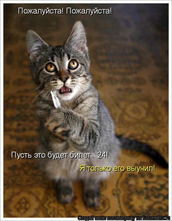 Пожалуйста! Пожалуйста! Пусть это будет билет № 24! Я только его выучил!... Котоматрица: Пожалуйста! Пожалуйста! Пусть это будет билет № 24! Я только его выучил!