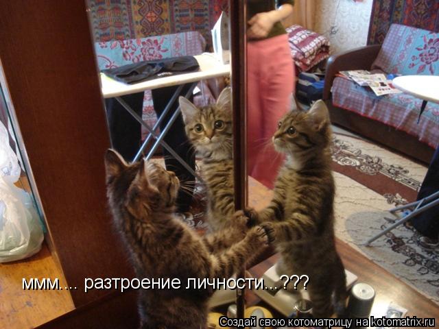 ммм.... разтроение личности...???... Котоматрица: ммм.... разтроение личности...???