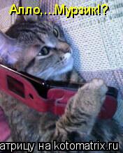 Алло,...Мурзик!?... Котоматрица: Алло,...Мурзик!?