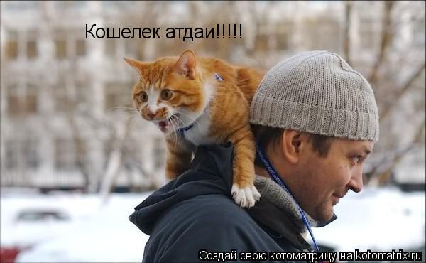 Кошелек атдаи!!!!!... Котоматрица: Кошелек атдаи!!!!!