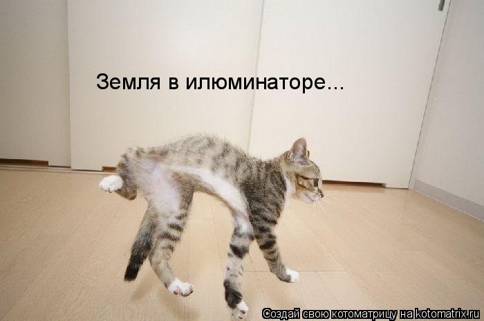 Земля в илюминаторе...... Котоматрица: Земля в илюминаторе...