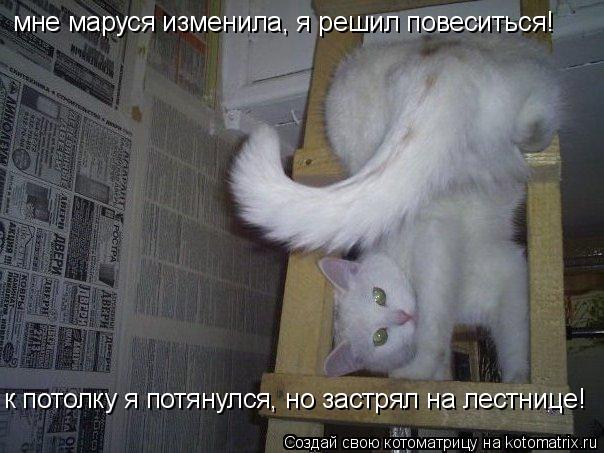 мне маруся изменила, я решил повеситься! к потолку я потянулся, но застрял на лестнице!... Котоматрица: мне маруся изменила, я решил повеситься! к потолку я потянулся, но застрял на лестнице!