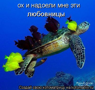 ох и надоели мне эти любовницы... Котоматрица: ох и надоели мне эти любовницы