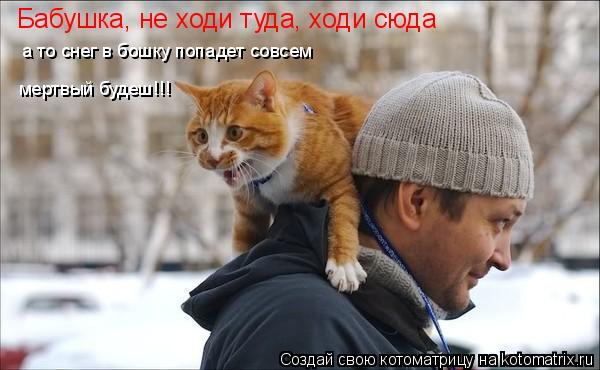 Бабушка, не ходи туда, ходи сюда а то снег в бошку попадет совсем мертвый будеш!!!... Котоматрица: Бабушка, не ходи туда, ходи сюда а то снег в бошку попадет совсем мертвый будеш!!!