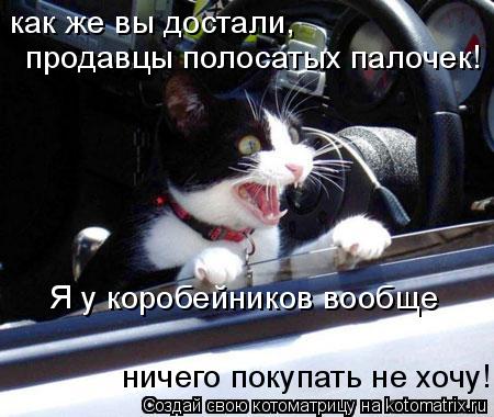 как же вы достали, продавцы полосатых палочек! Я у коробейников вообще ничего покупать не хочу!... Котоматрица: как же вы достали, продавцы полосатых палочек! Я у коробейников вообще ничего покупать не хочу!