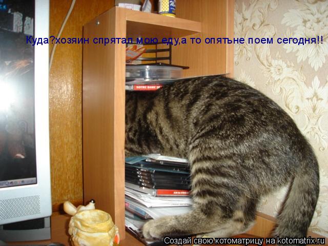 Котоматрица: Куда?хозяин спрятал мою еду,а то опятьне поем сегодня!!
