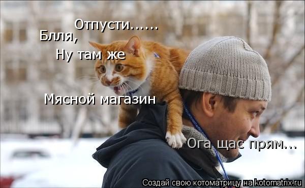 Котоматрица: Отпусти...... Блля, Ну там же Мясной магазин Ога щас прям...
