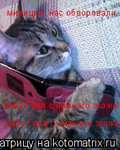 Котоматрица: милиция, нас обворовали ! баба Галя с нижнего этажа!!! баба Галя с нижнего этажа!!!