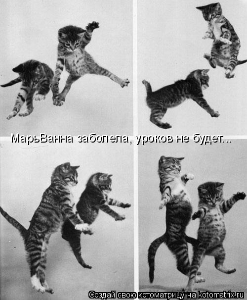 МарьВанна заболела, уроков не будет...... Котоматрица: МарьВанна заболела, уроков не будет...