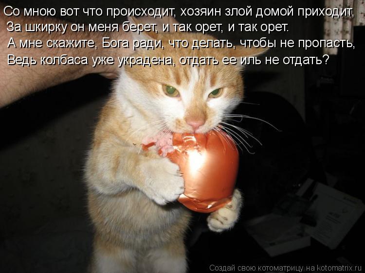 Со мною вот что происходит, хозяин злой домой приходит, За шкирку он меня берет, и так орет, и так ор... Котоматрица: Со мною вот что происходит, хозяин злой домой приходит, За шкирку он меня берет, и так орет, и так орет. А мне скажите, Бога ради, что делать, чт