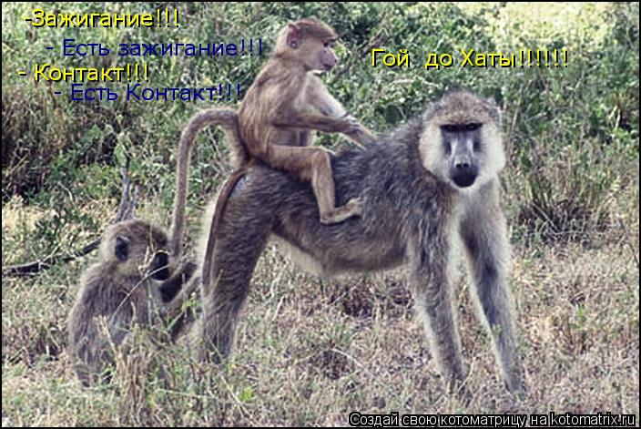 -Зажигание!!! - Есть зажигание!!! - Контакт!!! - Есть Контакт!!! Гой до Хаты!!!!!!... Котоматрица: -Зажигание!!! - Есть зажигание!!! - Контакт!!! - Есть Контакт!!! Гой до Хаты!!!!!!