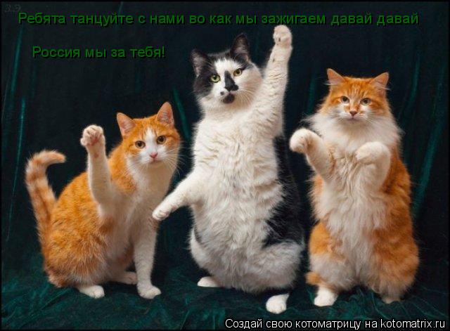 Ребята танцуйте с нами во как мы зажигаем давай давай Россия мы за тебя!... Котоматрица: Ребята танцуйте с нами во как мы зажигаем давай давай Россия мы за тебя!