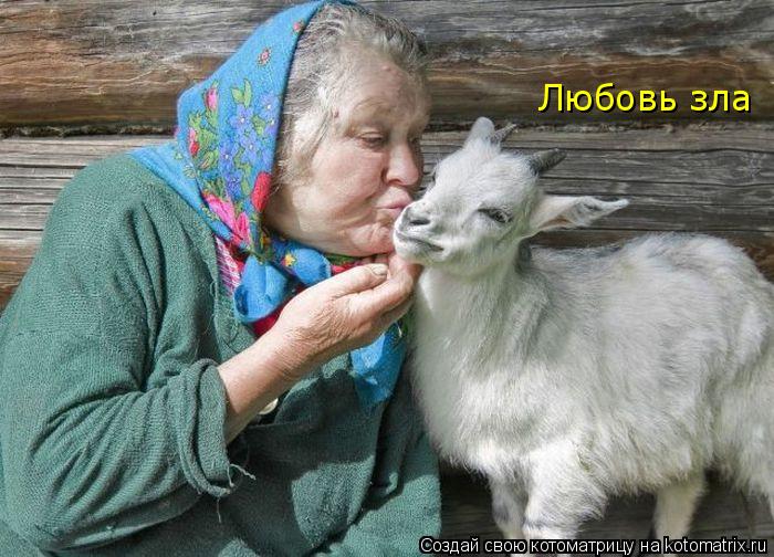Любовь зла... Котоматрица: Любовь зла