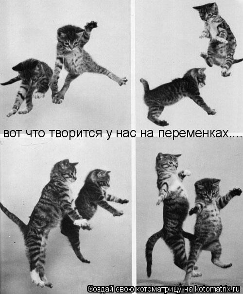 вот что творится у нас на переменках........ Котоматрица: вот что творится у нас на переменках.....