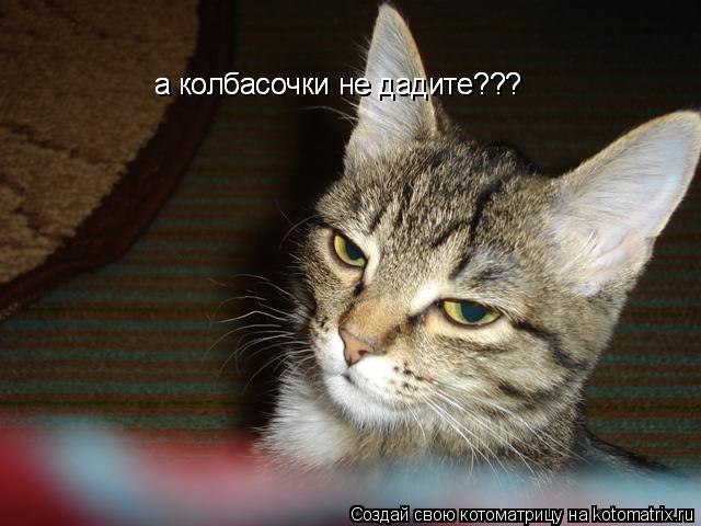 а колбасочки не дадите??? а колбасочки не дадите???... Котоматрица: а колбасочки не дадите??? а колбасочки не дадите???