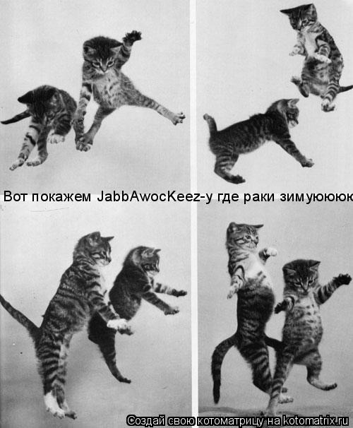 Вот покажем JabbAwocKeez-у где раки зимуюююют... Котоматрица: Вот покажем JabbAwocKeez-у где раки зимуюююют