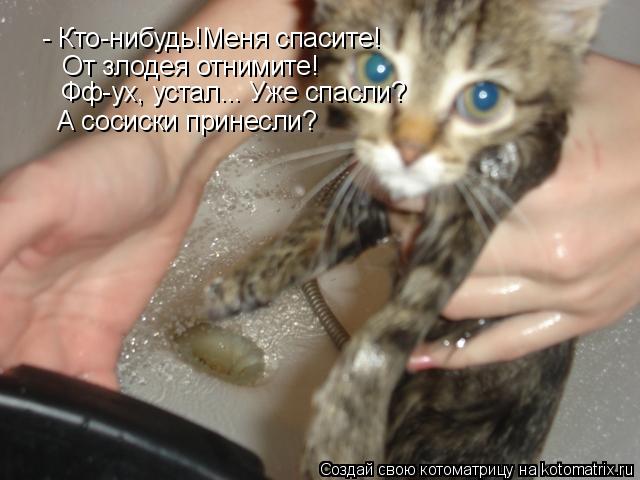 - Кто-нибудь!Меня спасите! От злодея отнимите! Фф-ух, устал... Уже спасли? А сосиски принесли?... Котоматрица: - Кто-нибудь!Меня спасите! От злодея отнимите! Фф-ух, устал... Уже спасли? А сосиски принесли?