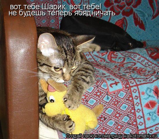 вот тебе Шарик, вот тебе! не будешь теперь ябядничать... Котоматрица: вот тебе Шарик, вот тебе! не будешь теперь ябядничать