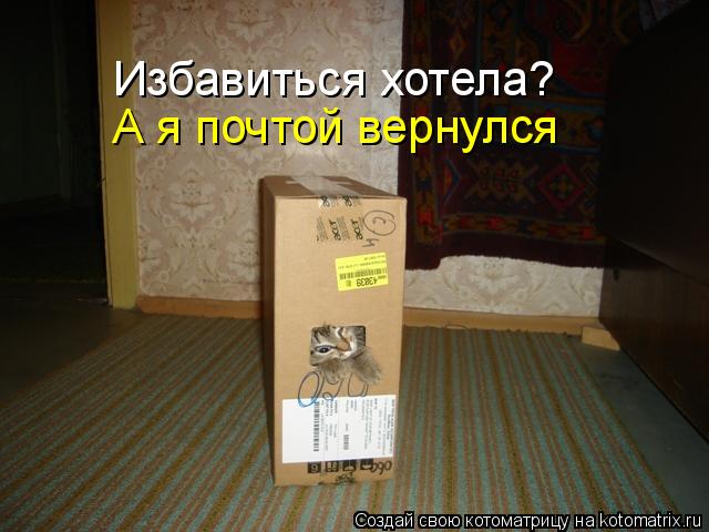 А я почтой вернулся Избавиться хотела?... Котоматрица: А я почтой вернулся Избавиться хотела?