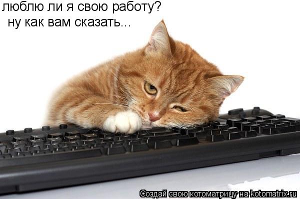 люблю ли я свою работу? ну как вам сказать...... Котоматрица: люблю ли я свою работу? ну как вам сказать...