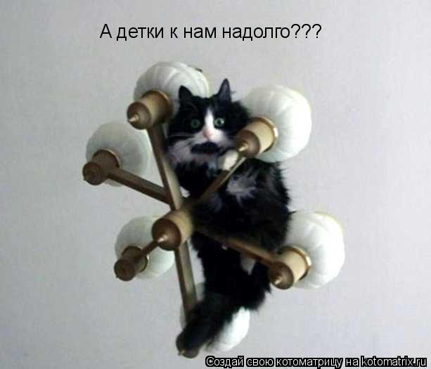 А детки к нам надолго???... Котоматрица: А детки к нам надолго???