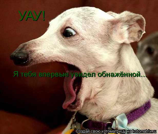 УАУ! Я тебя впервые увидел обнажённой...... Котоматрица: УАУ! Я тебя впервые увидел обнажённой...