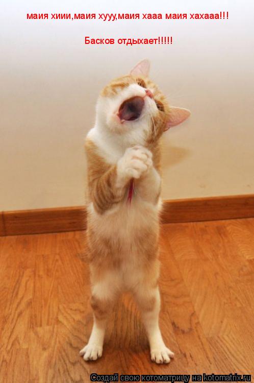 маия хиии,маия хууу,маия хааа маия хахааа!!! Басков отдыхает!!!!!... Котоматрица: маия хиии,маия хууу,маия хааа маия хахааа!!! Басков отдыхает!!!!!