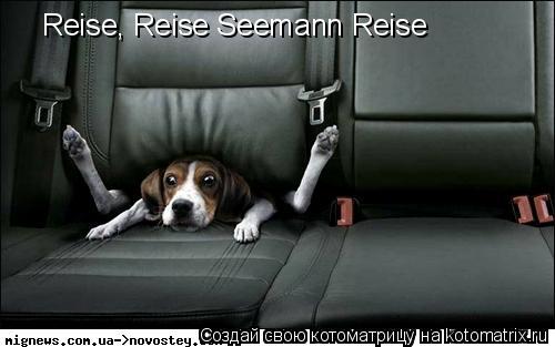 Reise, Reise Seemann Reise... Котоматрица: Reise, Reise Seemann Reise
