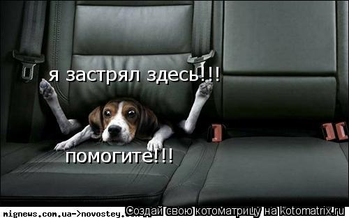 я застрял здесь!!! помогите!!! помогите!!!... Котоматрица: я застрял здесь!!! помогите!!! помогите!!!