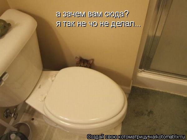 а зачем вам сюда? я так не чо не делал...... Котоматрица: а зачем вам сюда? я так не чо не делал...