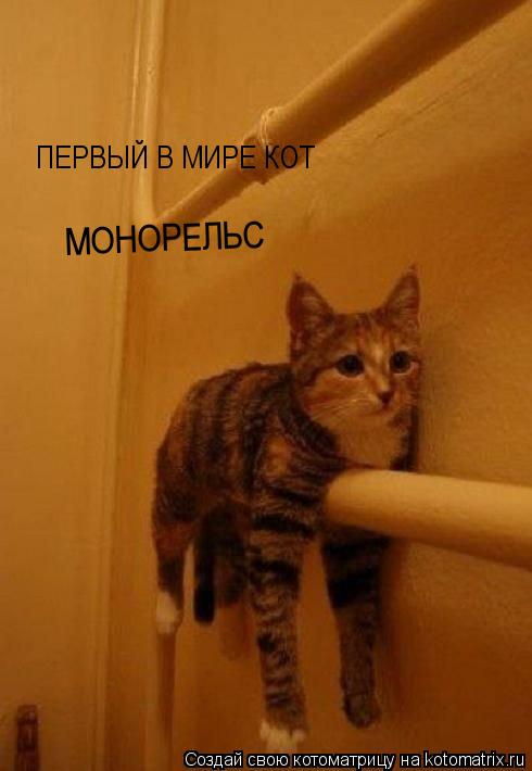 ПЕРВЫЙ В МИРЕ КОТ МОНОРЕЛЬС МОНОРЕЛЬС... Котоматрица: ПЕРВЫЙ В МИРЕ КОТ МОНОРЕЛЬС МОНОРЕЛЬС