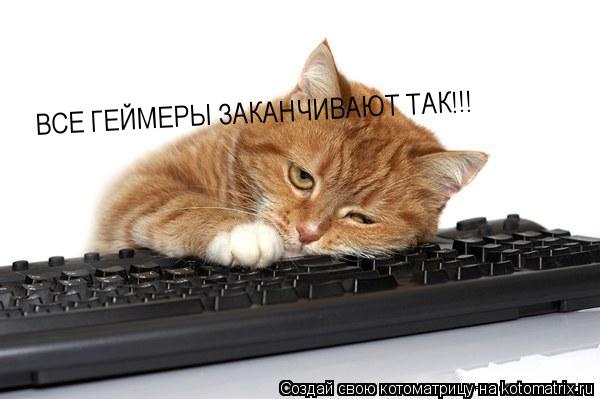 ВСЕ ГЕЙМЕРЫ ЗАКАНЧИВАЮТ ТАК!!!... Котоматрица: ВСЕ ГЕЙМЕРЫ ЗАКАНЧИВАЮТ ТАК!!!