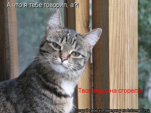 А что я тебе говорил, а?! Твоя машина сгорела.... Котоматрица: А что я тебе говорил, а?! Твоя машина сгорела.