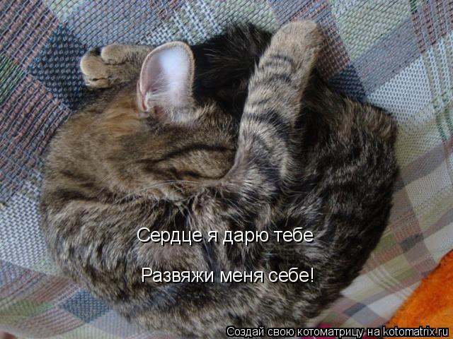Сердце я дарю тебе Развяжи меня себе!... Котоматрица: Сердце я дарю тебе Развяжи меня себе!