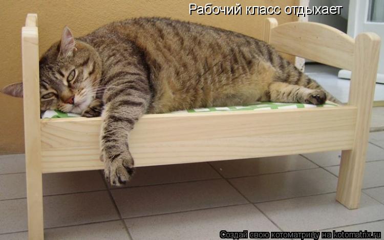 Рабочий класс отдыхает... Котоматрица: Рабочий класс отдыхает
