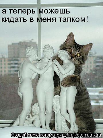 а теперь можешь кидать в меня тапком!... Котоматрица: а теперь можешь кидать в меня тапком!