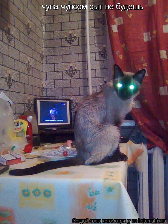 чупа-чупсом сыт не будешь... Котоматрица: чупа-чупсом сыт не будешь