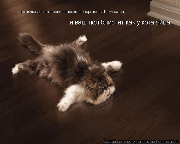 тряпочка для натирания паркета поверхность-100% котин, ... и ваш пол блистит как у кота яйца... Котоматрица: тряпочка для натирания паркета поверхность-100% котин, ... и ваш пол блистит как у кота яйца